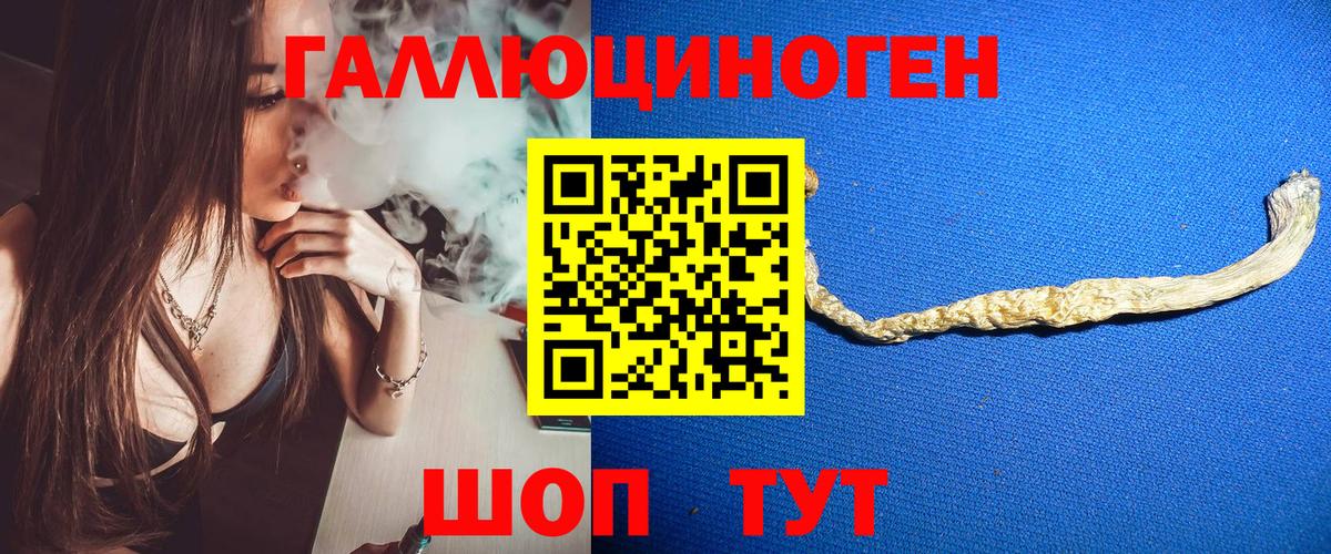 Псилоцибиновые грибы MAGIC MUSHROOMS Электросталь