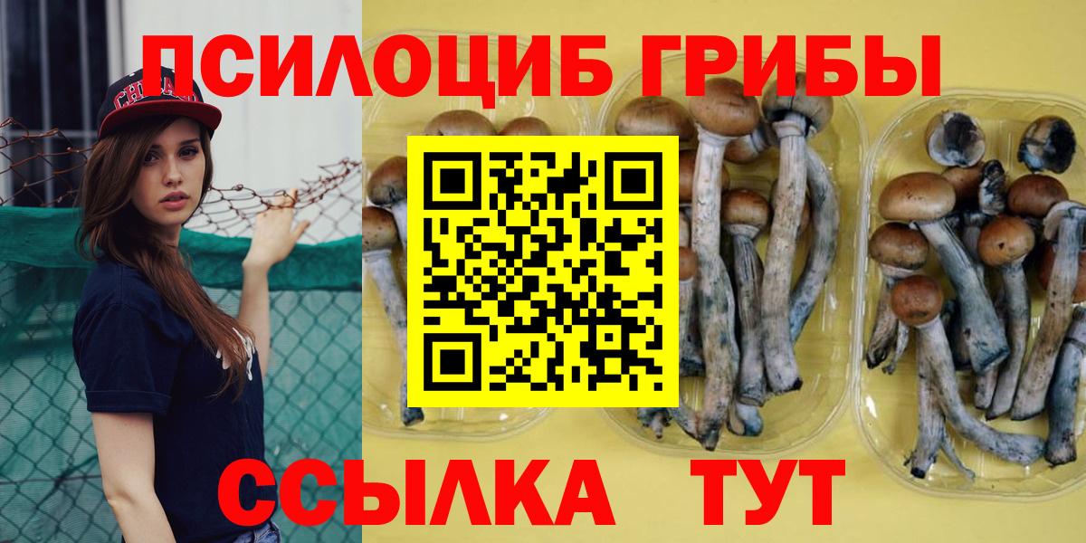Электросталь  Галлюциногенные грибы Psilocybe  Вход с VPN 